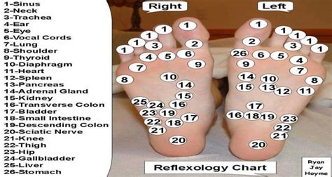 Here’s The Reason Why You Need To Massage Your Feet Before