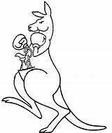 Kangaroo Drawing Boxing Clipart Draw Outline Color Cute Cartoon Clip Cliparts Coloring Drawings Pages Ornate Trophy Jug Logo Australia Printable sketch template