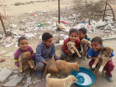 10 Photos From Egypt That Will Make You Smile Egyptian