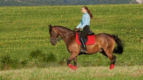 ways horse riding  amazing exercise