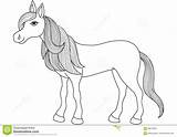 Horse Coloring Mane Long Tail Book Cartoon Golden Charming Vector Illustration sketch template