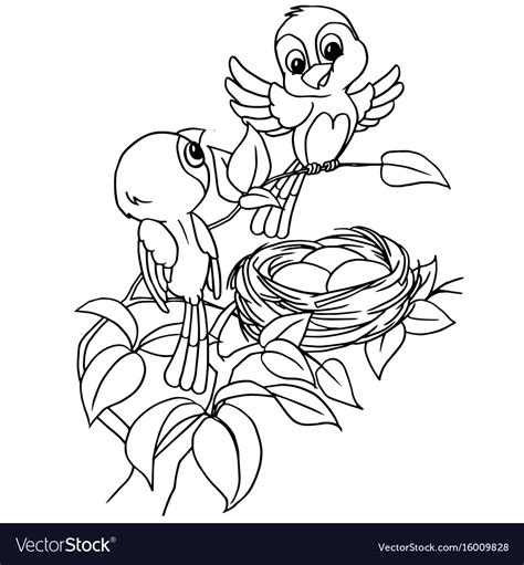 cartoon bird egg  nest coloring page royalty  vector