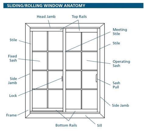 anatomy   window search results hometiful
