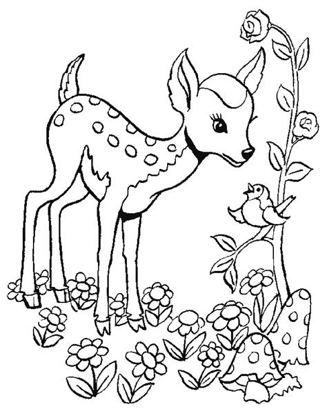 baby deer coloring page cute baby deer coloring page coloring home