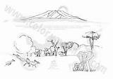 Kilimanjaro Coloring 92kb 212px sketch template