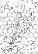 Biene Honig Bienenstock Mandala Inse Gehen Probieren Bee Hive Erwachsene sketch template