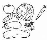 Legumes Vegetais Pintar Verduras Alimentos sketch template