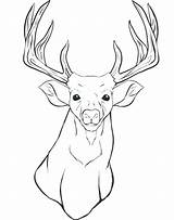 Deer Head Coloring Pages Hunting Printable Outline Realistic Hunter Reindeer Drawing Elk Print Color Whitetail Colouring Getcolorings Getdrawings sketch template