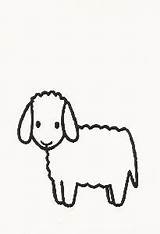 Schaap Bruna Nijntje Lammetje Tekenen Boerderijdieren Koe Schapen Knutselen Makkelijk Kleurplaten Lammetjes Mewarn11 Dieren Miffy Dier Downloaden Ideeen Sjablonen Herder sketch template