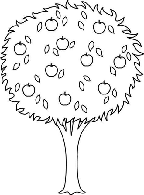 tree coloring pages  apples tree coloring page apple coloring