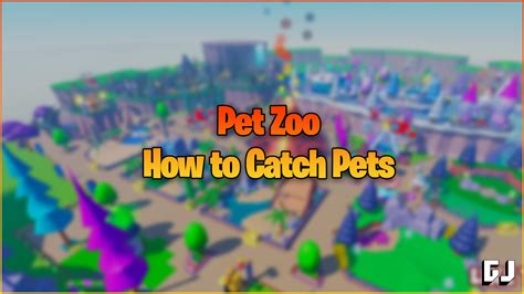 catch pets  pet zoo gamer journalist