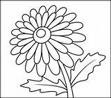 Coloring Gerbera Pages Flowers Printables Color Number Related Printable 226px 57kb Games sketch template