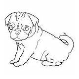 Pug Coloring Funny Face Outline Dog sketch template