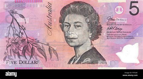 australian  dollar note isolated   white background stock
