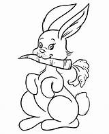 Coloring Easter Bunny Carrot Pages Printable Color sketch template