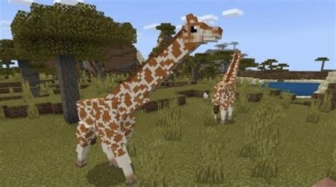 Giraffes Addon Minecraft Pe Addons Minecraft Pe Mods