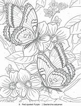 Coloring Pages Size Adults Printable Getcolorings Color Print sketch template