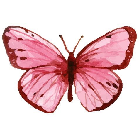 aquarela borboleta rosa  png