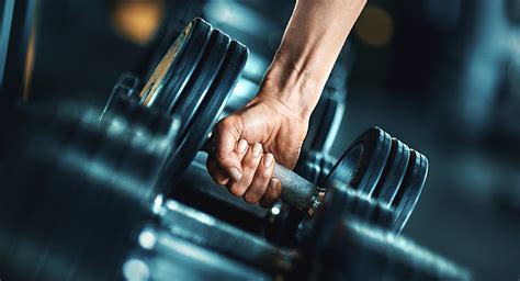 expert       start lifting weights