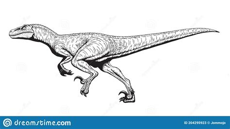 running velociraptor drawing  art raptor dinosaurs coloring page isolated  white
