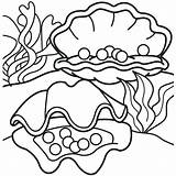 Clam Coloring Pages Getcolorings sketch template