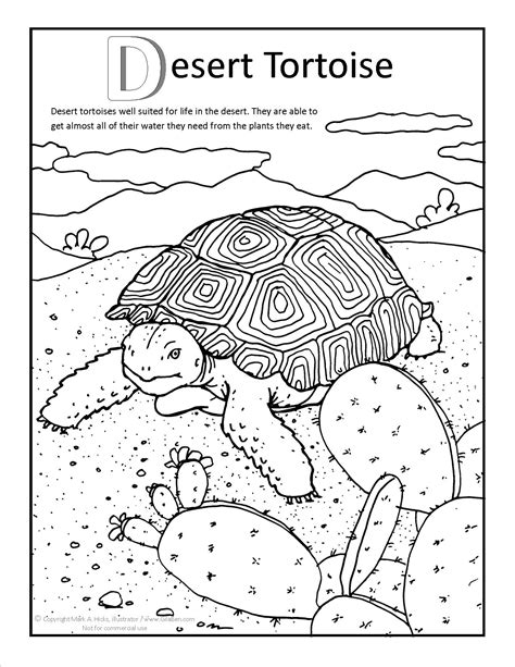 desert coloring pages    print