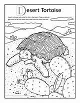 Desert Coloring Pages Tortoise Drawing Ecosystem Habitat Canyon Grand Kids Sulcata Print Printable Color Clipart Colouring Animals Landscape Animal Oasis sketch template