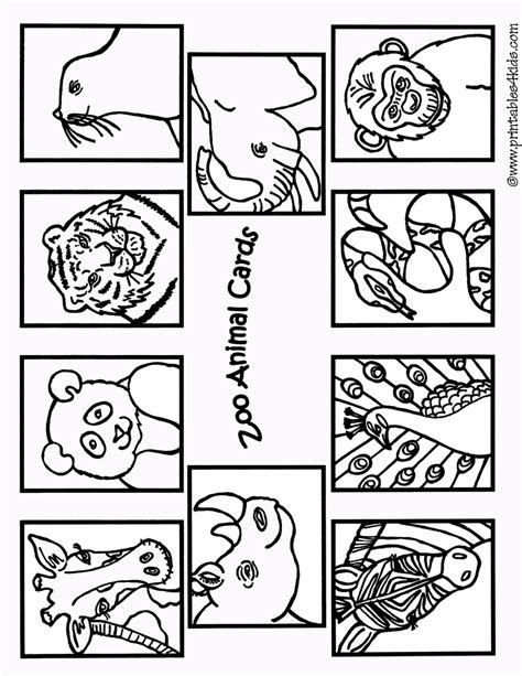 zoo animals coloring cards printables  kids  word search