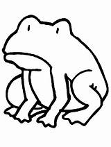 Rana Rane Broscuta Ranocchi Grenouilles Animali Planse Frosche Colorat Frogs Clic Haga Calut Copilul Preleva Bats Coloratutto sketch template