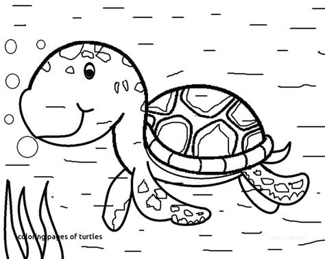 sea animals coloring pages  getcoloringscom  printable