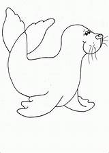 Seal Coloring Pages Drawing Swimming Kids Cute Clipart Animal Library Baby Getdrawings sketch template