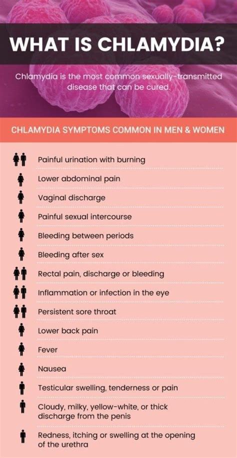 chlamydia symptoms 5 natural treatments pelvic