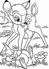 Bambi Coloring Pages Thumper Getcolorings Clipart sketch template