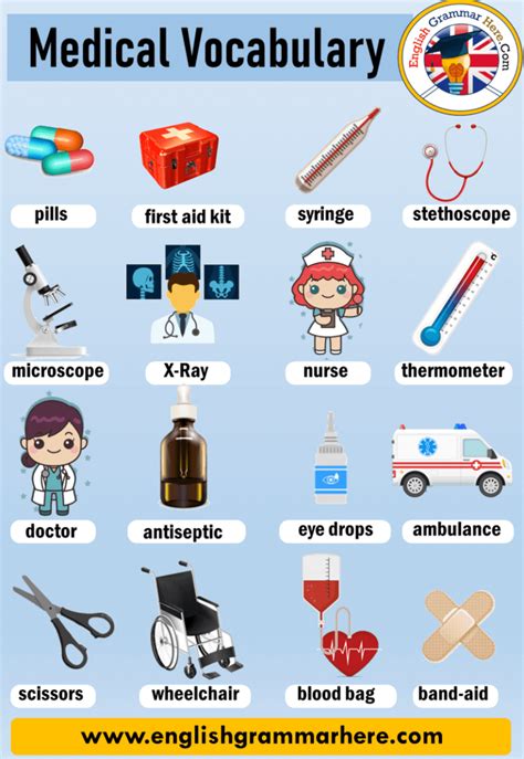 english medical vocabulary english grammar