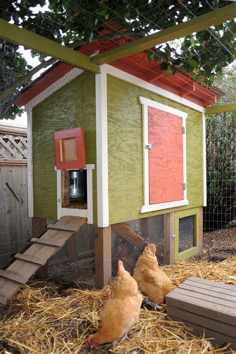 lovely interior painting ideas ideas urban chicken coop diy chicken coop plans backyard