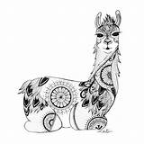 Llama Zentangle Llamas Fortnite Alpaca sketch template