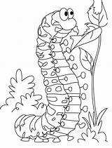 Coloring Caterpillar Hungry Bugs Advertisement Coloringpagebook sketch template