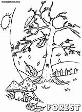Forest Coloring Pages Print Forest1 sketch template
