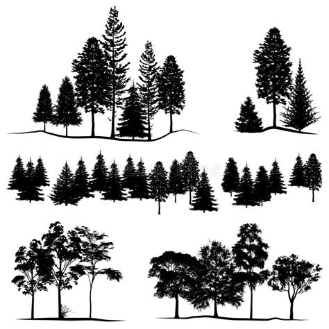 forest tree illustration  stock  stockfreeimages