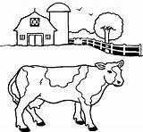 Vaca Mucca Colorir Pascolo Pastar Desenhos Dibuix Line Acolore Granja Animales Stampare sketch template