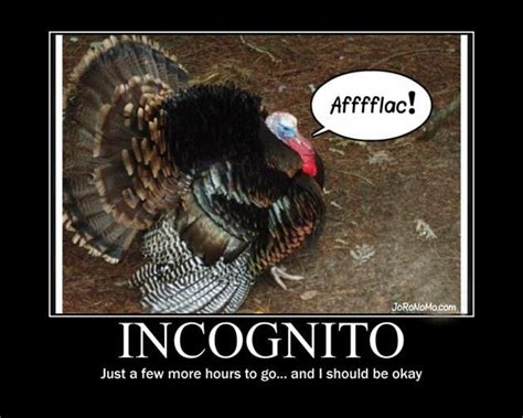 check out this funny meme funny thanksgiving memes