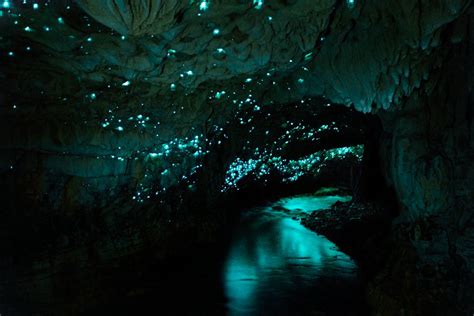 glowworm caves  zealand top travel destinations  put   bucket list popsugar