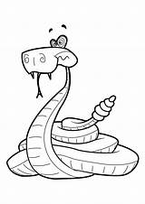 Serpent Serpents Coloriages Partage Imprime Télécharge Gulli sketch template