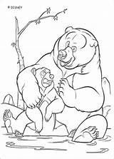 Bear Coloring Brother Pages sketch template