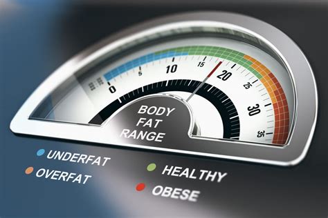 body fat percentage calculator can you diagnose obesity
