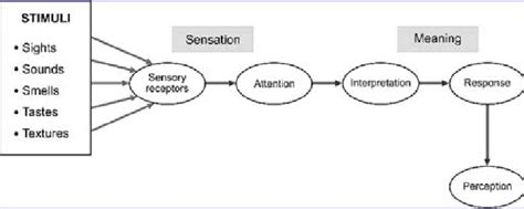 simplified representation   perceptual cycle model images