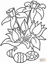 Osterblumen Flori Narzisse Primavara Zum Daffodils Colorear Ausmalbild Colorat Pascua Narciso Ostern Ausmalen Planse Colouring sketch template