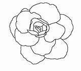 Line Flower Drawing Simple Flowers Outline Clip Coloring Clipart Drawings Basic Cliparts Library Lineart Getdrawings Comments sketch template