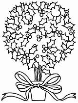 Crayola Colorat Arbusto Desene Mistletoe Craciun Arbres Planse Decorado Natalizio Alberi Floare Bosco Coloriages Noël Natalizi Colorir Motivos sketch template