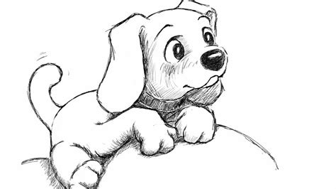 puppy drawing hd youtube